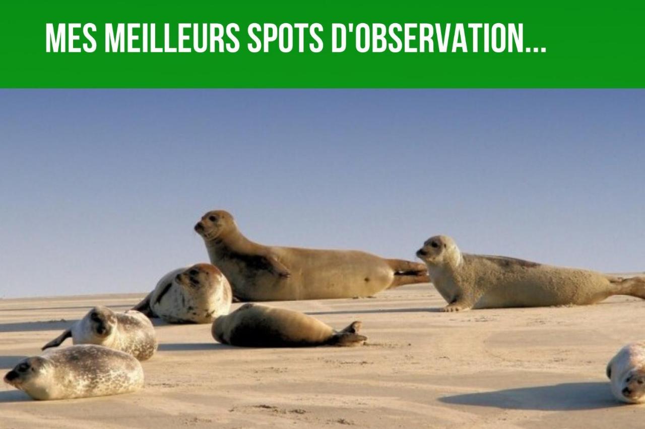 Les Couleurs Du Littoral Apartamento *